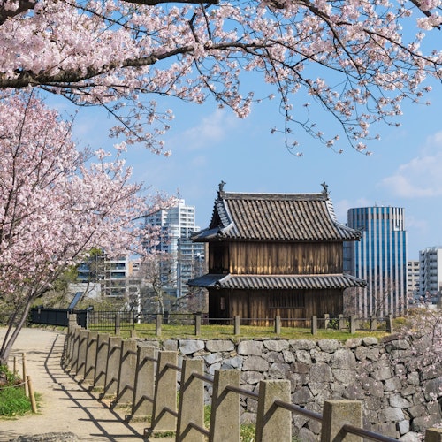 Maizuru Park Maizuru Park