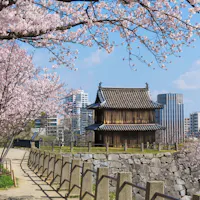 Maizuru Park Maizuru Park