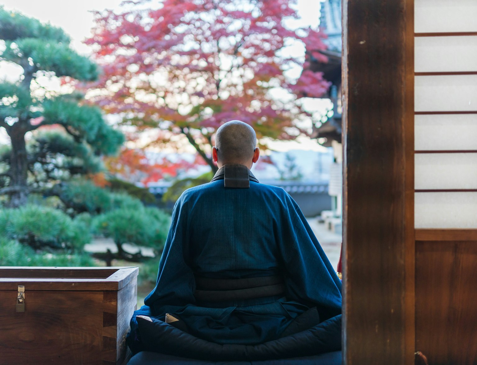 Buddhist Monk Buddhist Monk