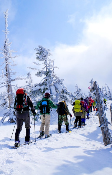 Snowshoeing Snowshoeing