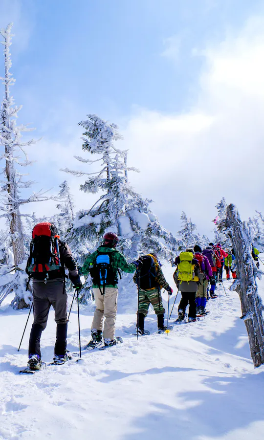 Snowshoeing Snowshoeing