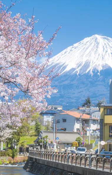 Fujinomiya Fujinomiya