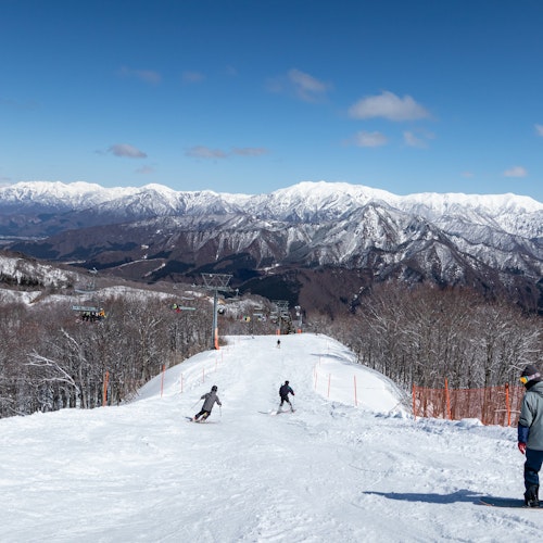 Gala Yuzawa Several people ski and snowboard down a snowy mountain slope, surrounded by snow-covered trees and tall mountains in the background under a clear blue sky.