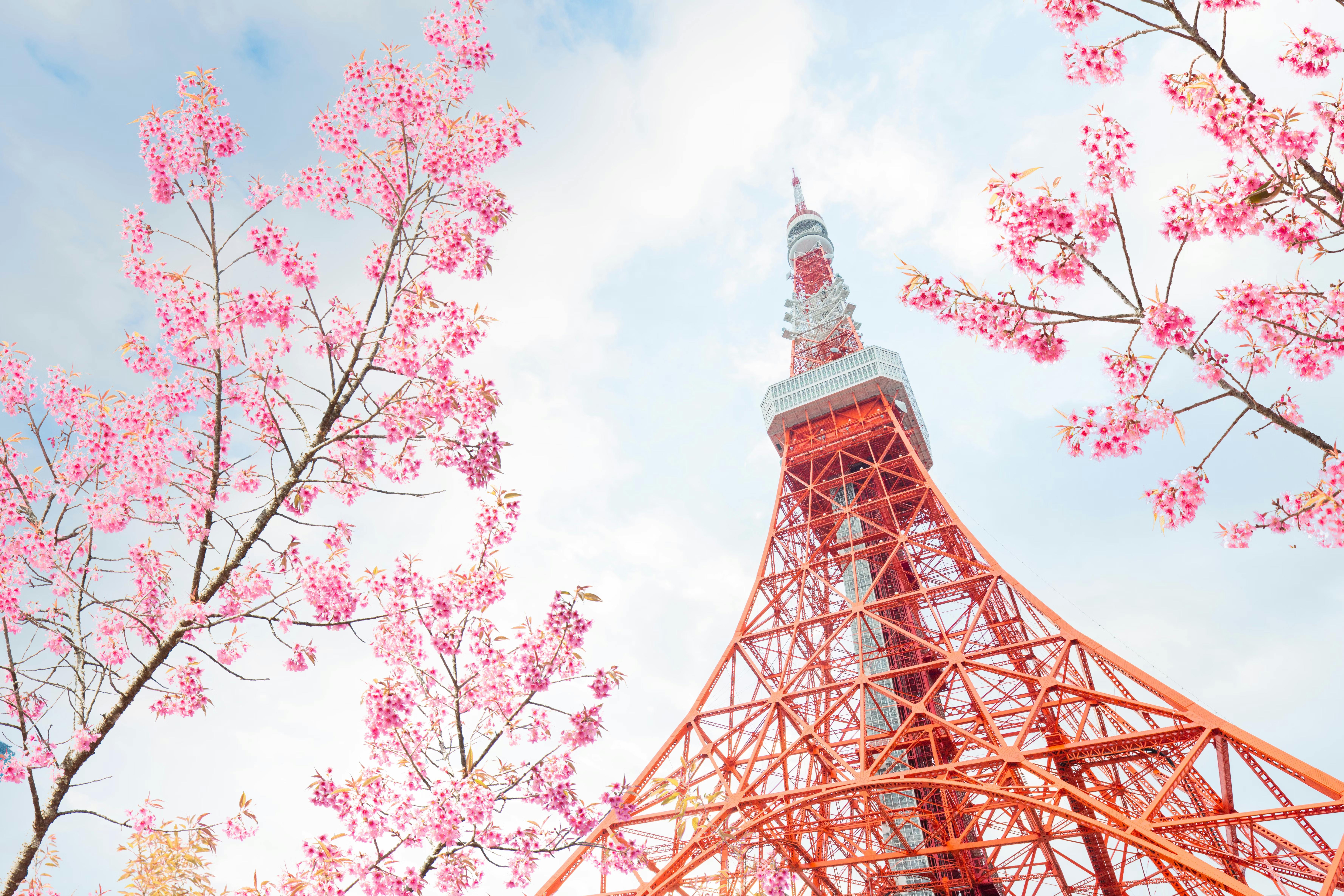 Tokyo Tower