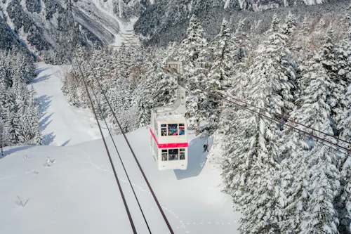 An aerial cable car travels over a snowy mountain landscape, surrounded by pine trees covered in snow, with distant peaks in the background.