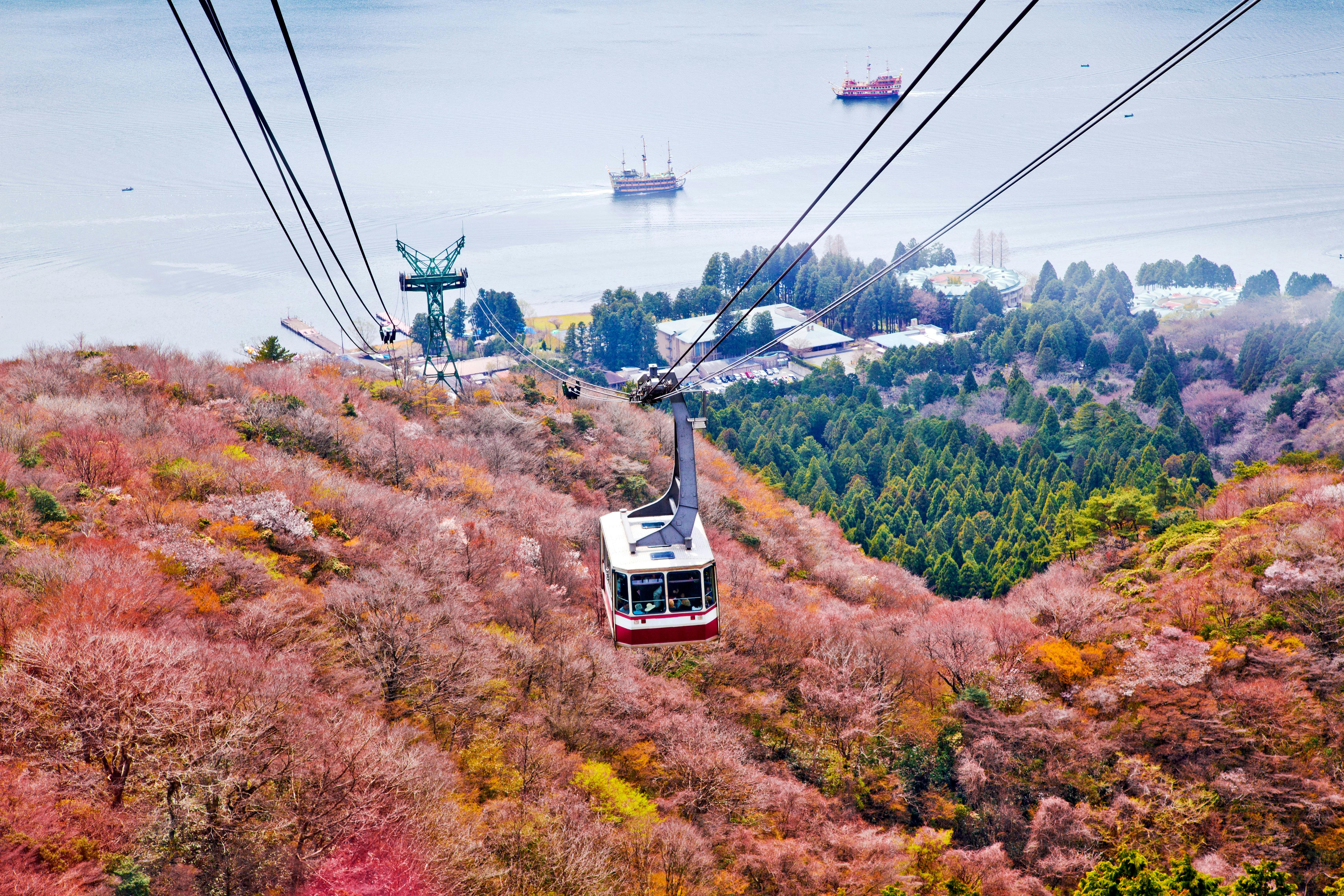 Hakone Ropeway