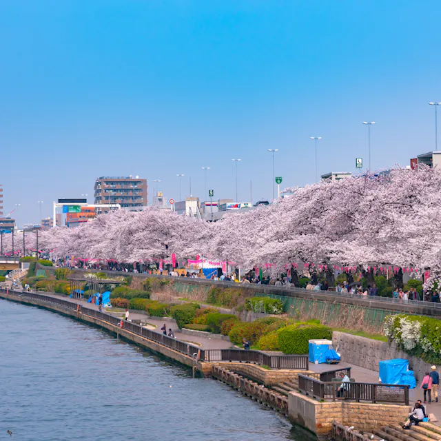Sumida Park Sumida Park
