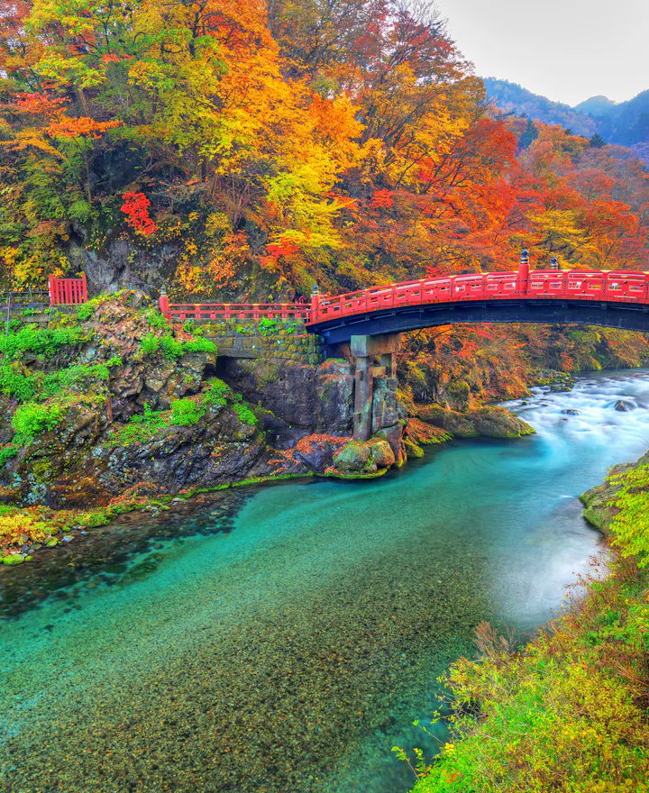 Nikko Nikko overview