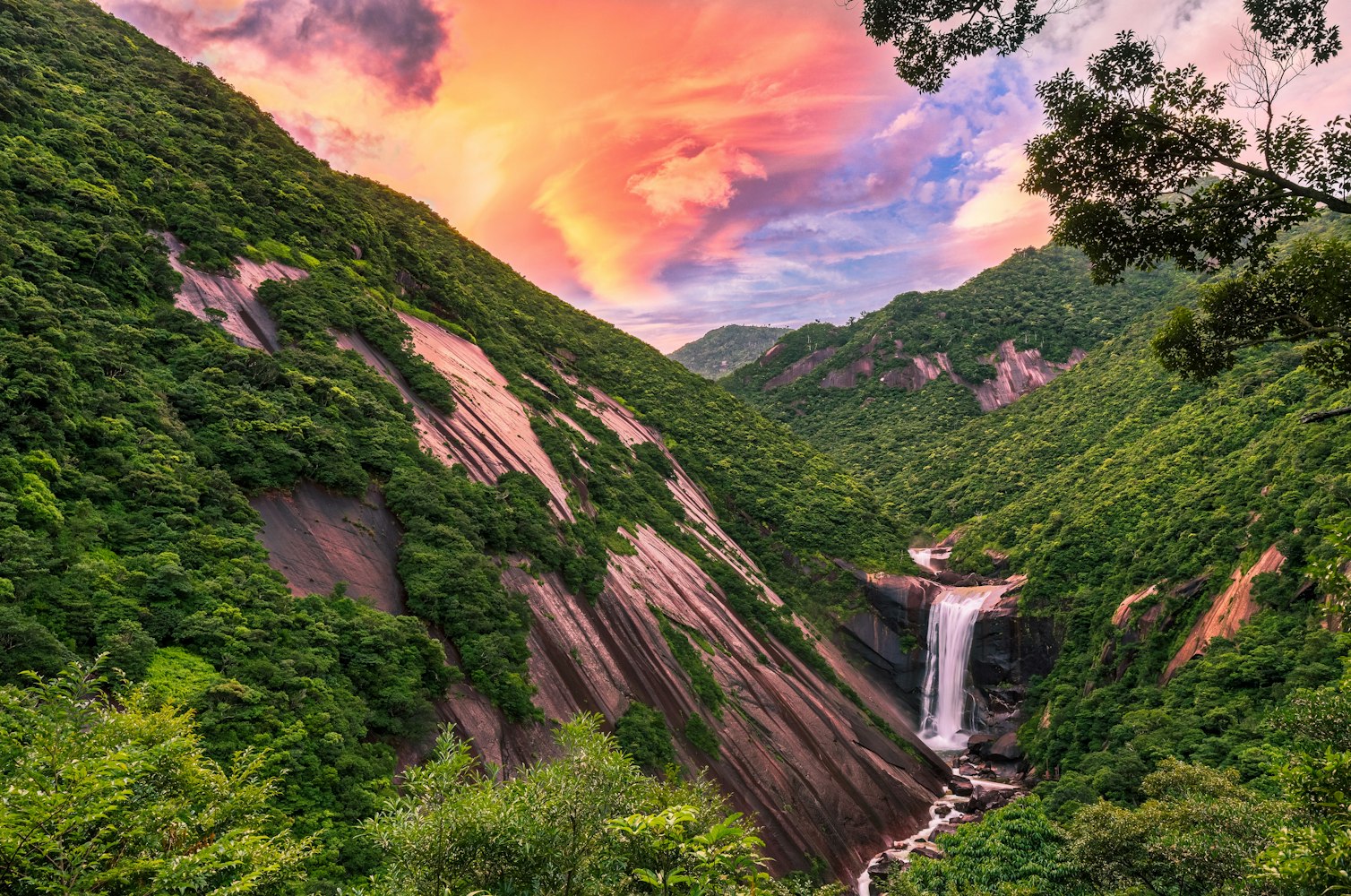 Yakushima Island