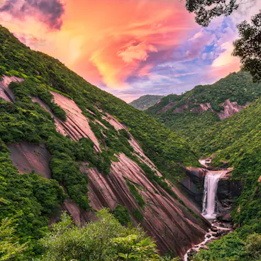 Yakushima Island Yakushima Island