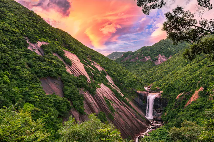 Yakushima overview