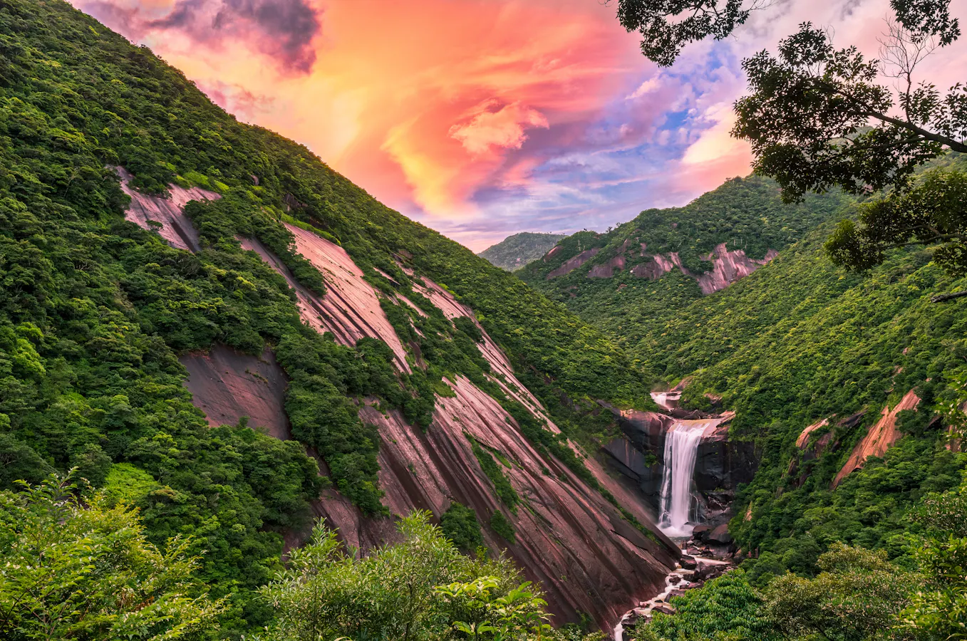 Yakushima Island