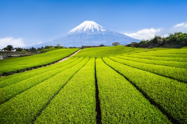 Shizuoka