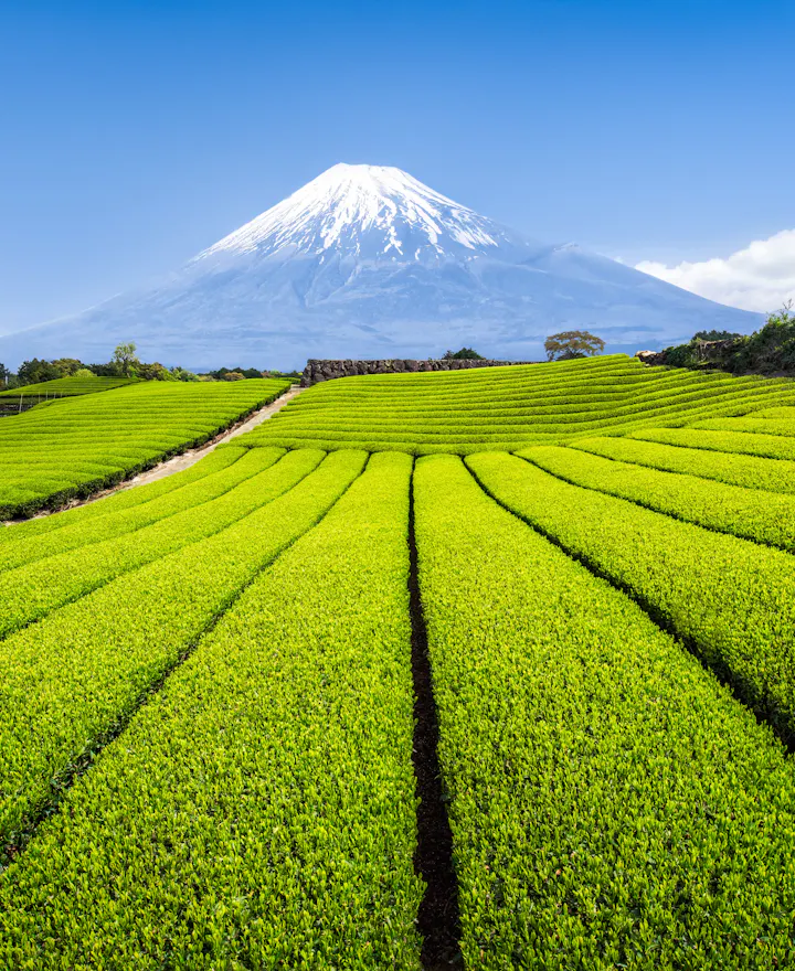 Shizuoka Shizuoka overview