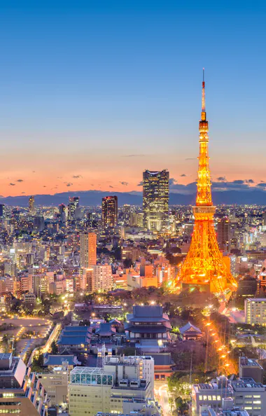 Tokyo Tokyo
