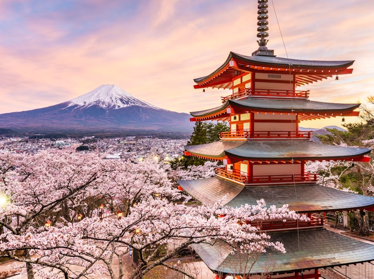 Mt. Fuji and Five-Storied Pagoda Tour with an English-Speaking Guide