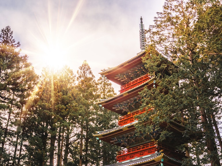 歴史的な日光東照宮周辺の朝のウォーキングツアー
