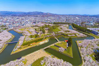 Aerial view of Goryokaku, a star-shaped fort in Hakodate, Japan, surrounded by cherry blossom trees in full bloom, with a cityscape and mountains in the background.