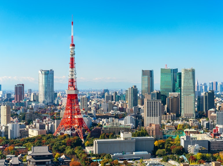 Tokyo's Personalized Day Adventure by Private Vehicle