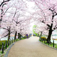 Ueno Park Ueno Park