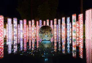 A nighttime scene featuring a large, illuminated sphere with gold dragon designs surrounded by tall, glowing pillars decorated with colorful floral and patterned designs, all reflected on a glossy surface.