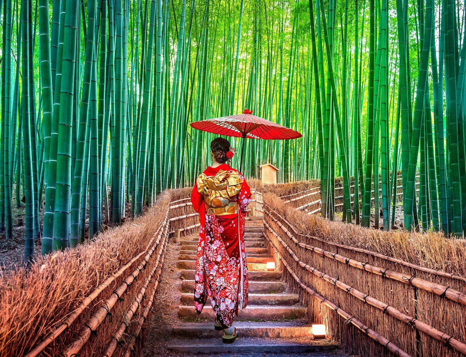 Arashiyama Bamboo Grove Arashiyama Bamboo Grove