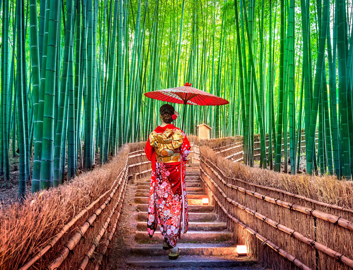 Arashiyama Bamboo Grove A woman in a red kimono with a gold obi and a red parasol walks up stone steps through a bamboo forest, surrounded by tall green bamboo stalks and wooden railings.