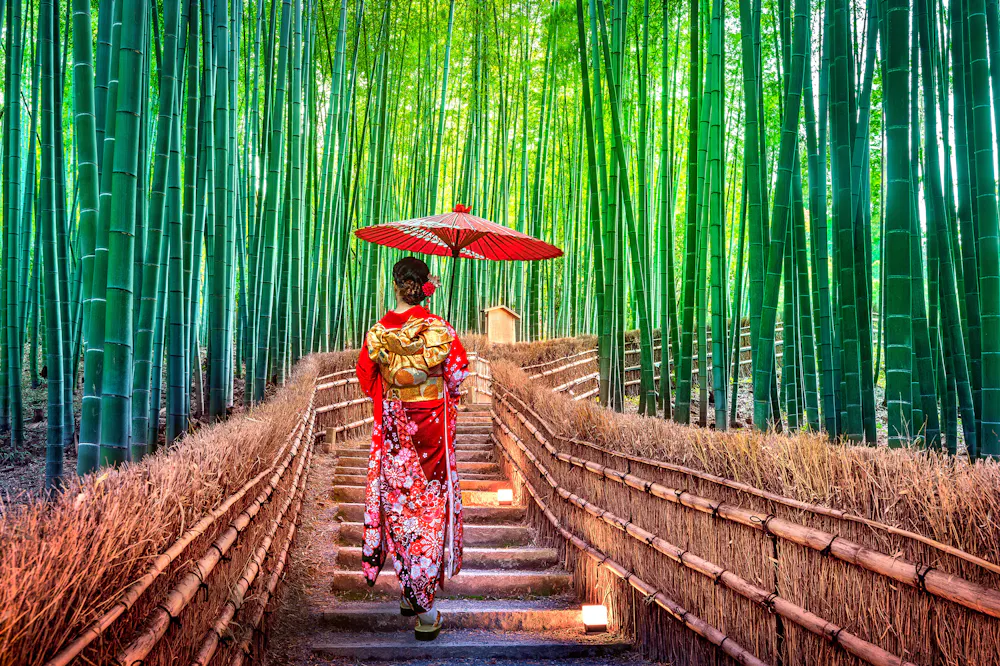 Arashiyama Bamboo Grove
