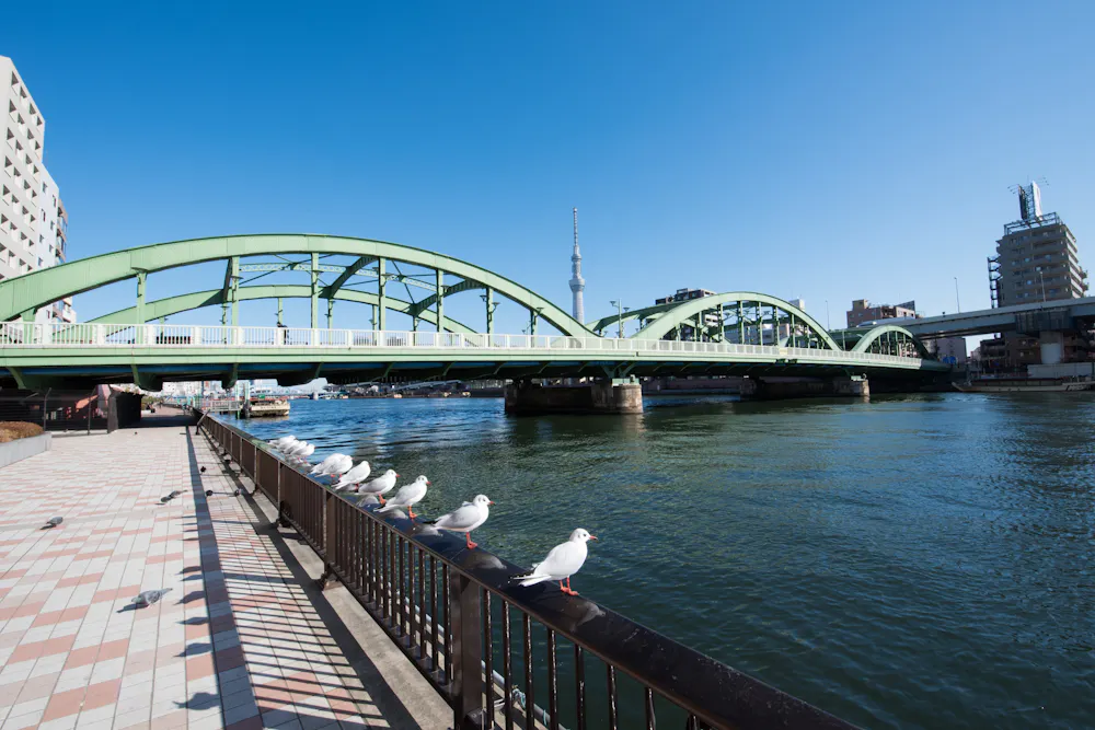Sumidagawa River Terrace