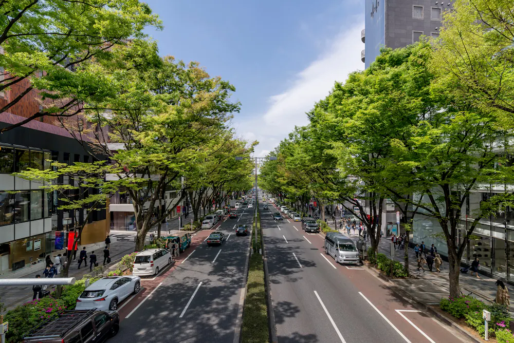 Omotesando