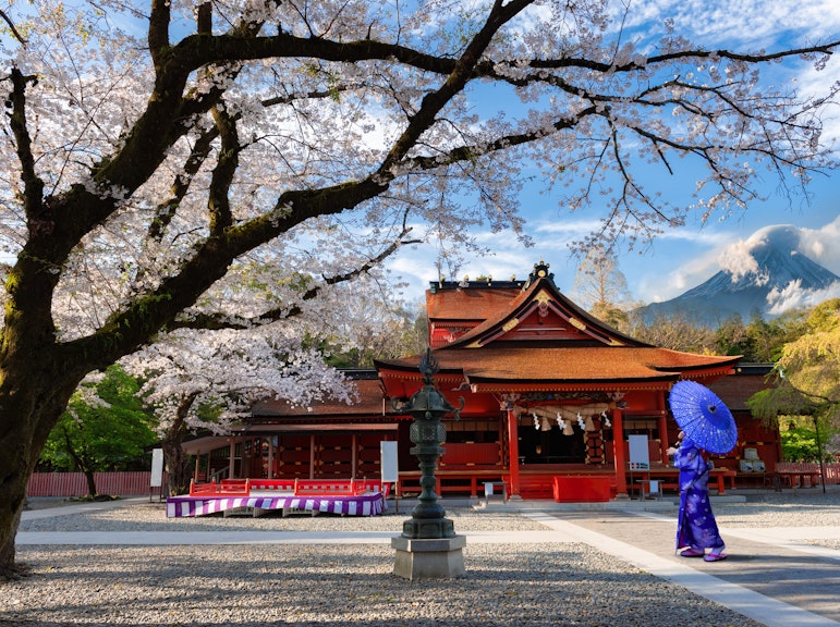 Exclusive Lake Tanuki and Shiraito Falls Tour for Cruise Voyagers