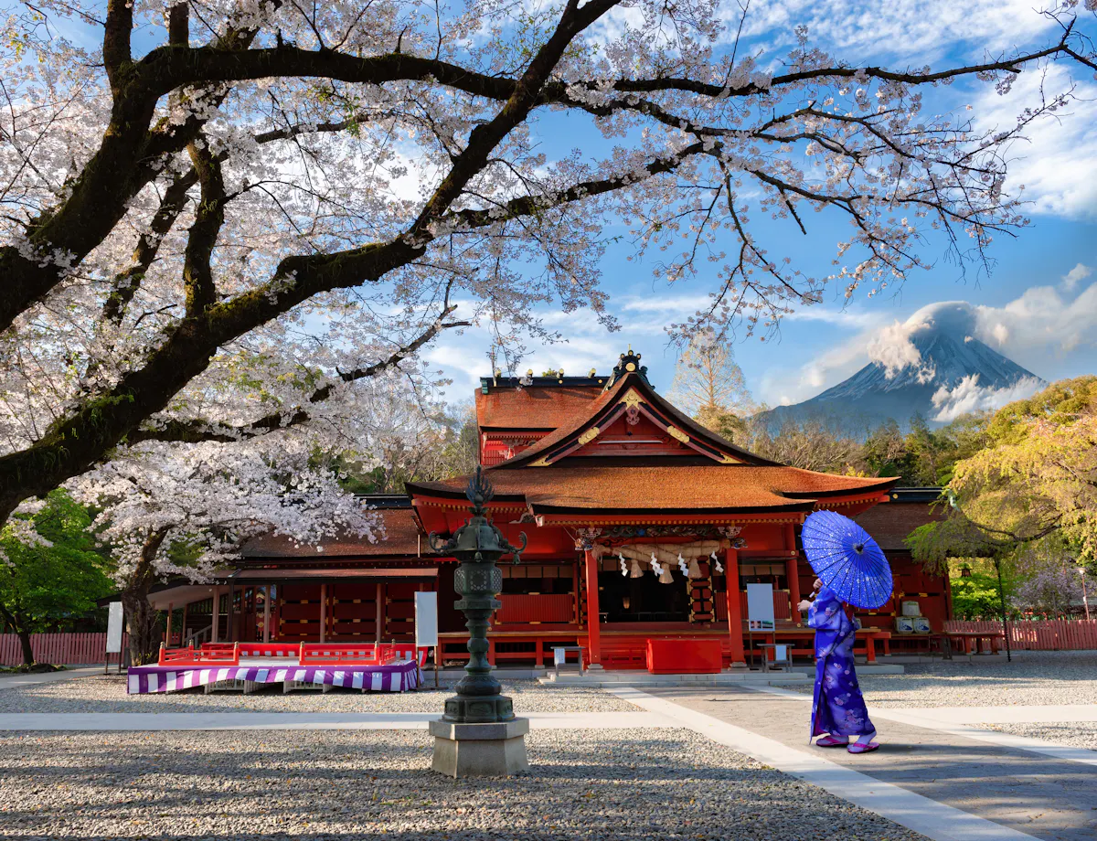 Fujisan Hongu Sengen Taisha A person in a blue kimono with a blue umbrella stands near a traditional red Japanese shrine, surrounded by blooming cherry blossom trees, with a snow-capped mountain visible in the background.