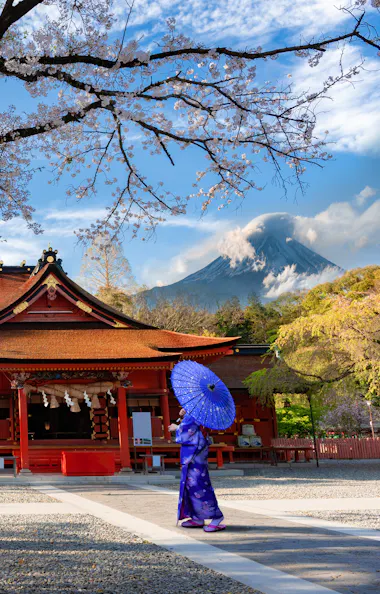 Fujisan Hongu Sengen Taisha A person in a blue kimono with a blue umbrella stands near a traditional red Japanese shrine, surrounded by blooming cherry blossom trees, with a snow-capped mountain visible in the background.