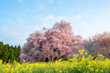 Isshingyo Park