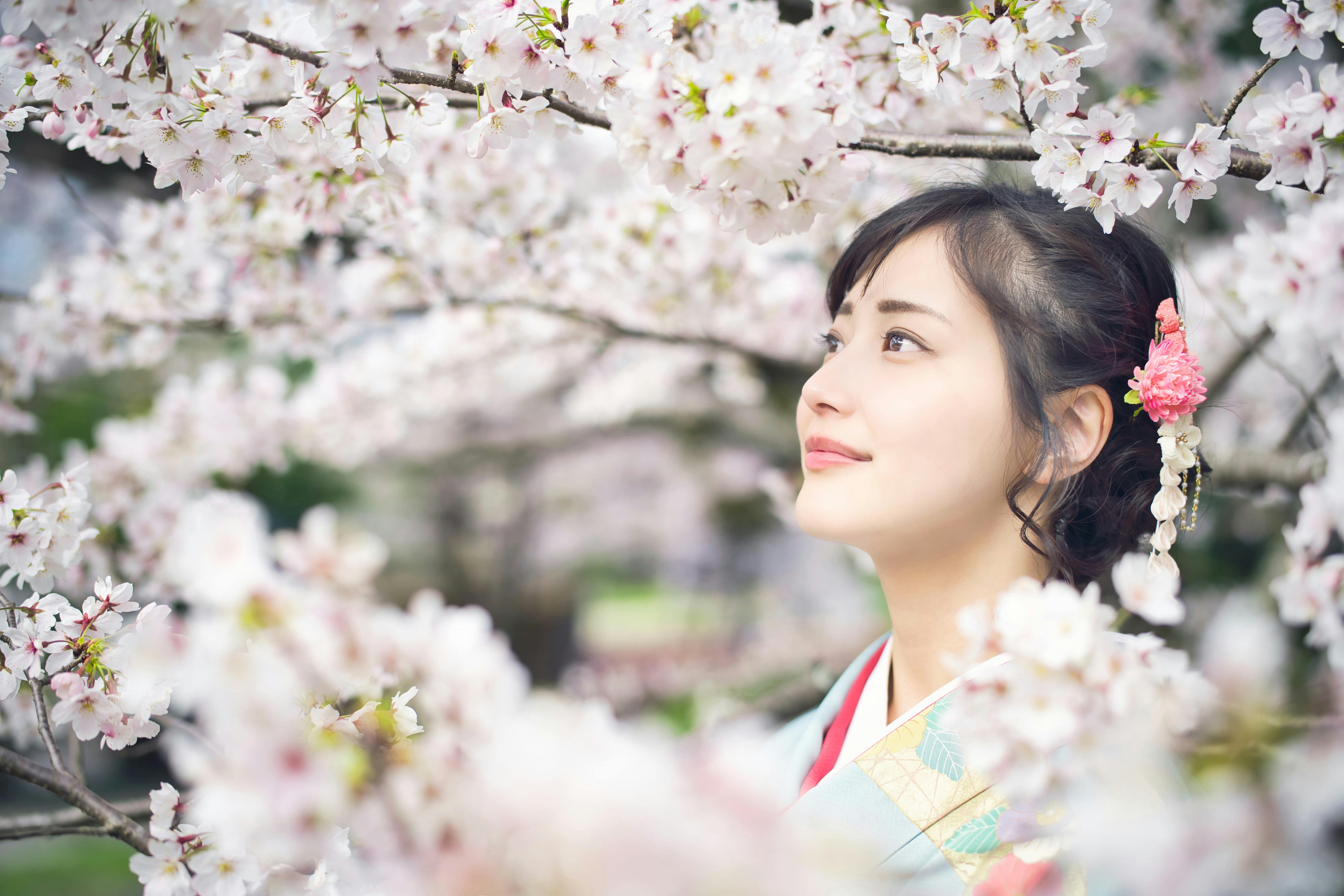 A woman in a traditional kimono with a floral hair accessory stands among blooming cherry blossom branches, gazing upward with a serene expression. The scene is filled with soft pink and white blossoms.