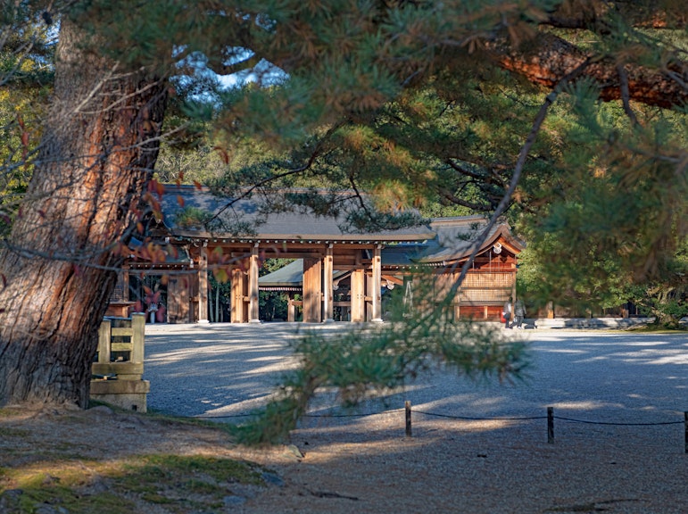 하루 종일 가이드가 함께하는 카시하라 전일제 투어