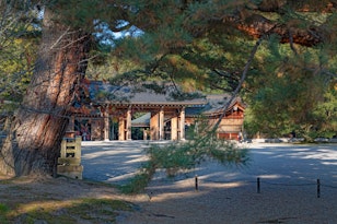 Kashihara