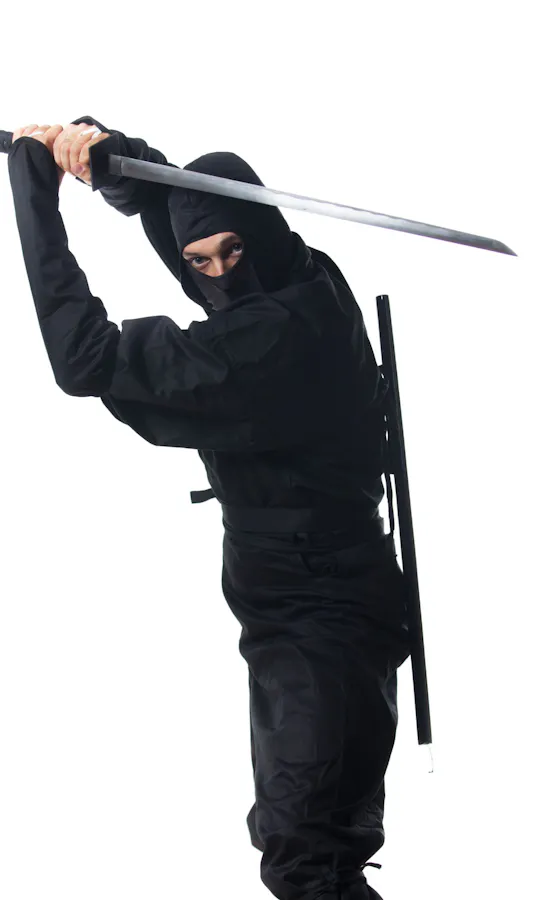 Ninja Ninja