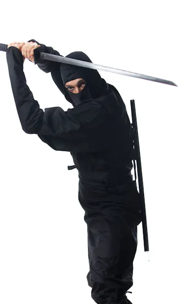 Ninja Ninja