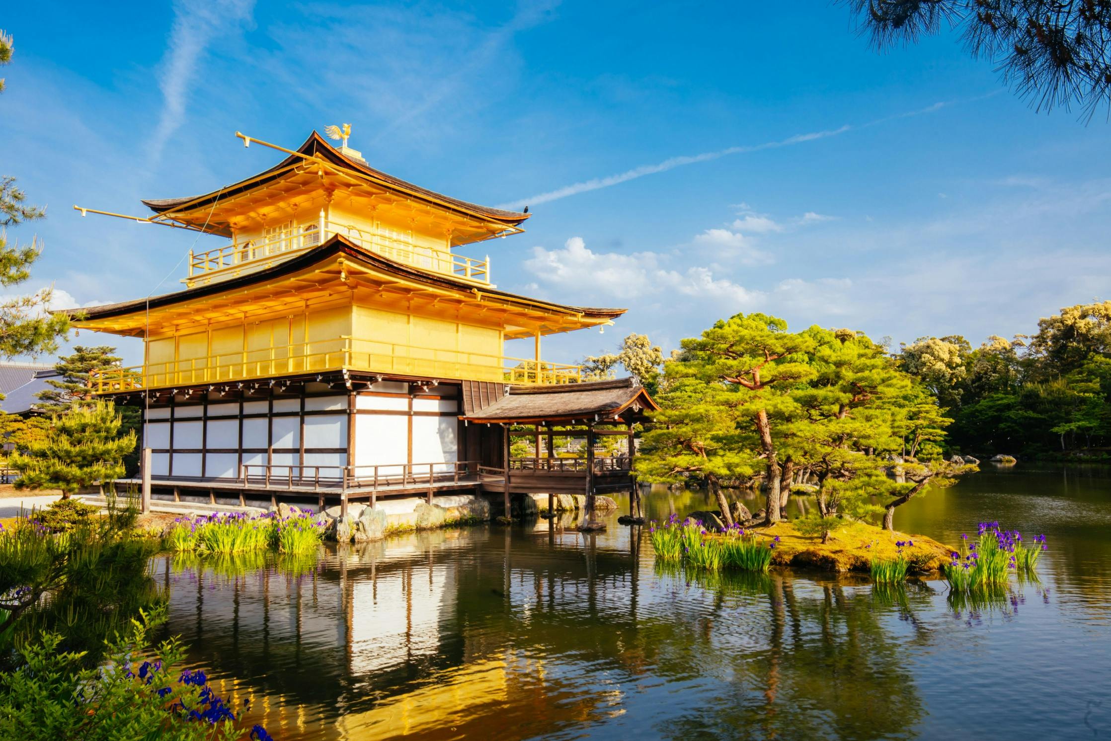 Golden pavilion beside a tranquil pond, surrounded by lush greenery and vibrant purple flowers under a clear blue sky. Reflections ripple in the water, adding to the serene atmosphere.