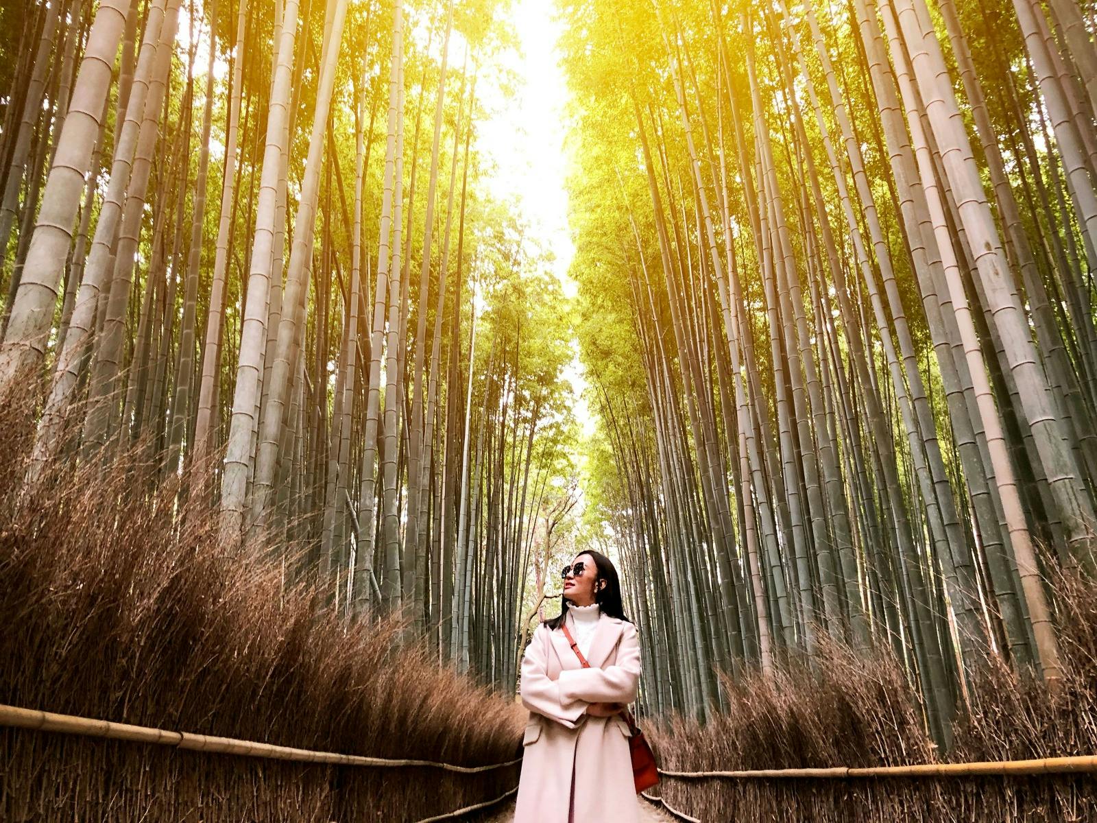 A woman in a light coat stands on a path between towering bamboo stalks, looking upwards. Sunlight filters through the dense bamboo forest, creating a serene and enchanting atmosphere.