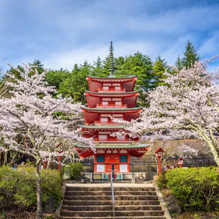 Arakurayama Sengen Park Arakurayama Sengen Park