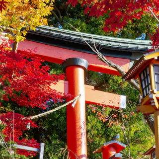 Arakurayama Sengen Park Arakurayama Sengen Park