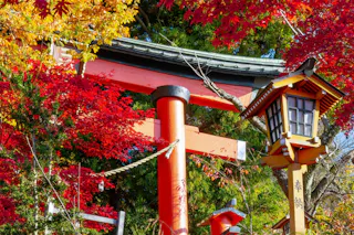 A traditional Japanese torii gate and lantern surrounded by vibrant red and yellow autumn leaves, set against a background of green trees.