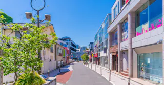 A quiet, sunny street lined with modern buildings and shops, featuring glass windows and colorful signs. A small tree and shrubbery are visible on the left, with clear blue skies overhead.