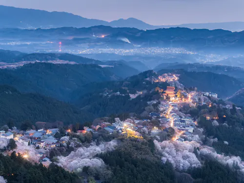 Mount Yoshino Aerial view of a mountain village at dusk, with illuminated streets winding among cherry blossom trees, surrounded by forested hills and mist, and distant mountains in the background.