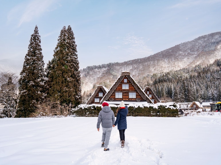 Observatory Ticket Included Shirakawago Lightup Bus Tour from Nagoya