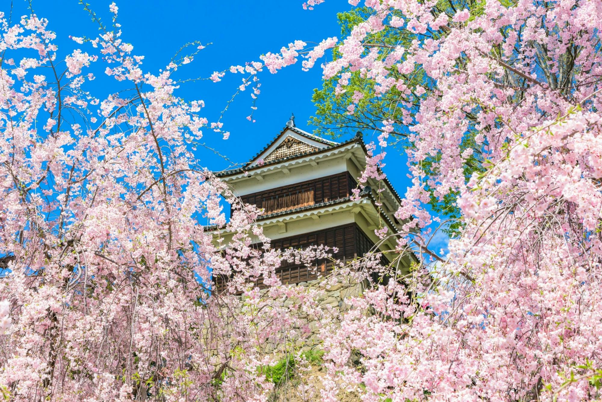 Ueda Castle Park