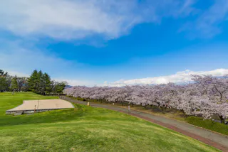 Takato Castle Ruins Park