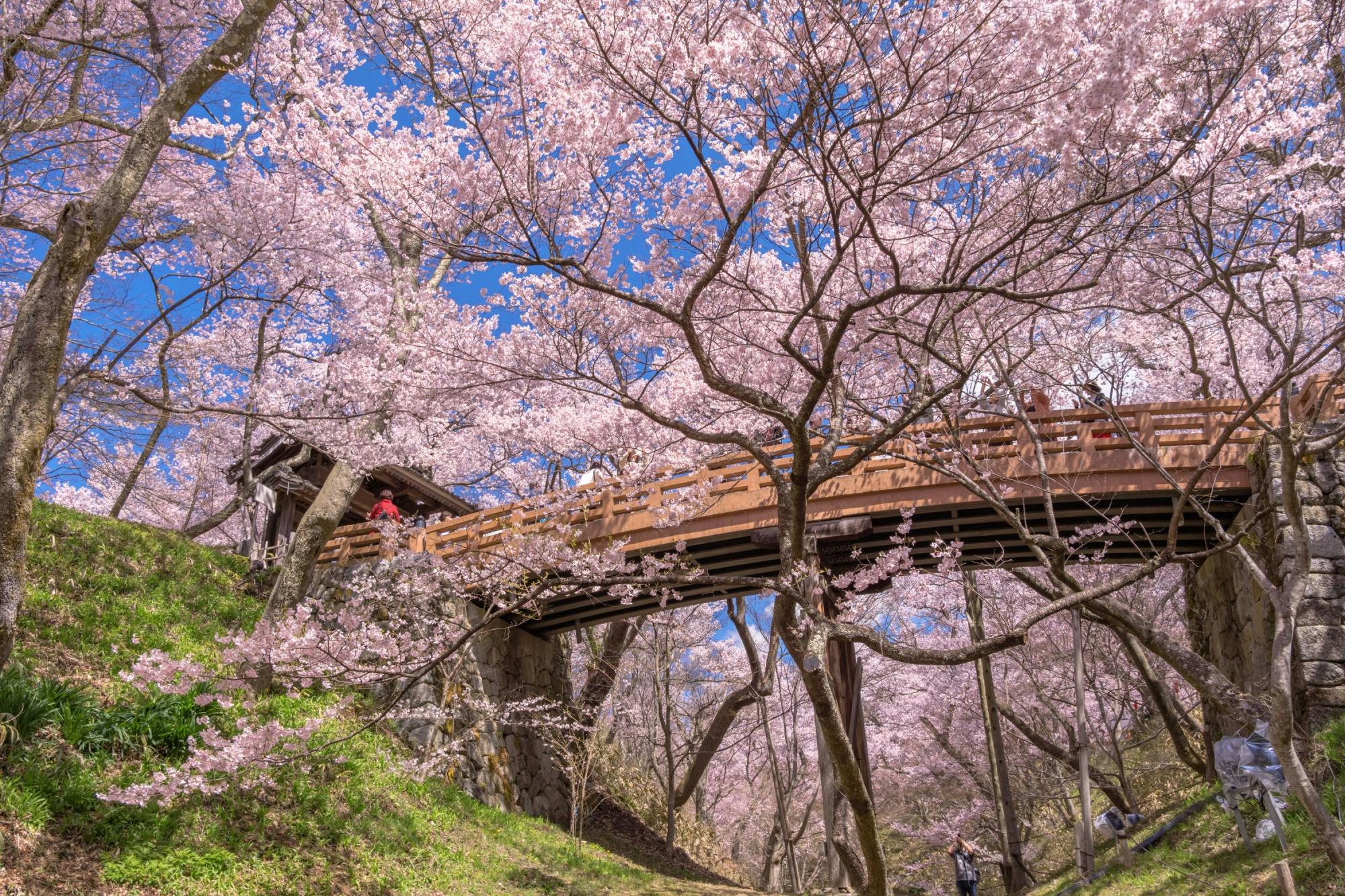Takato Castle Ruins Park